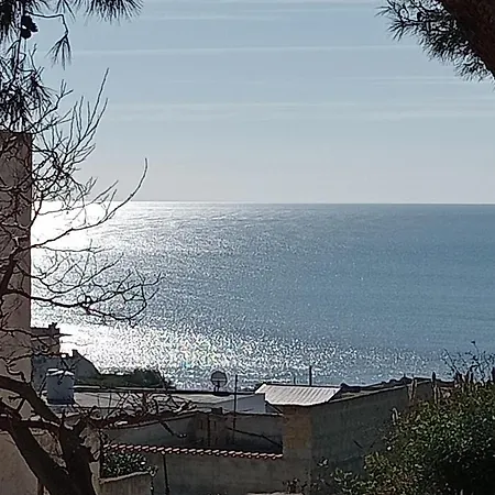 Se Lo Senti Lo Sai Triscina